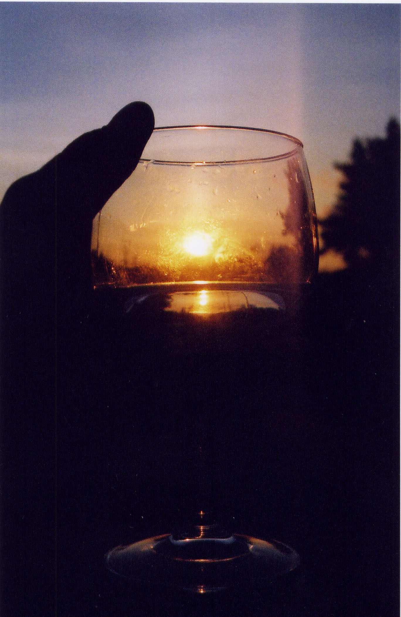 sunsetingglass.jpg